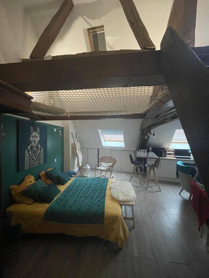 Eden Spa Appartement D'Exception ディジョン エクステリア 写真