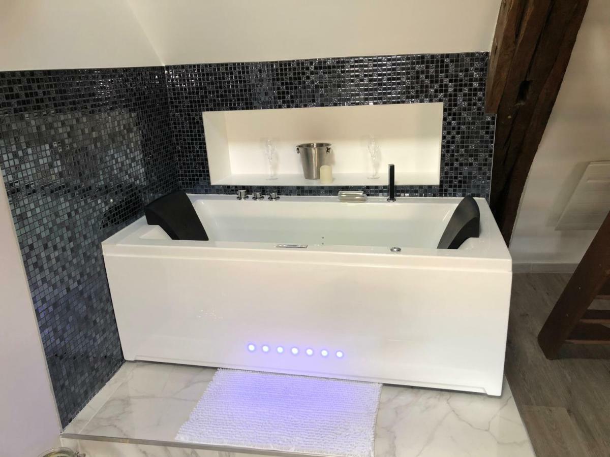 Eden Spa Appartement D'Exception ディジョン エクステリア 写真